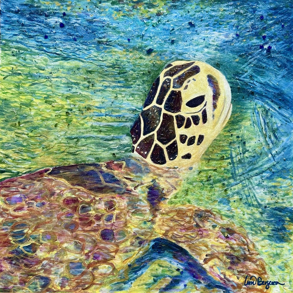 [LB-007] Kona Turtle