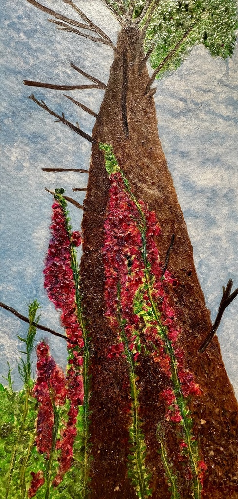 Foxgloves
