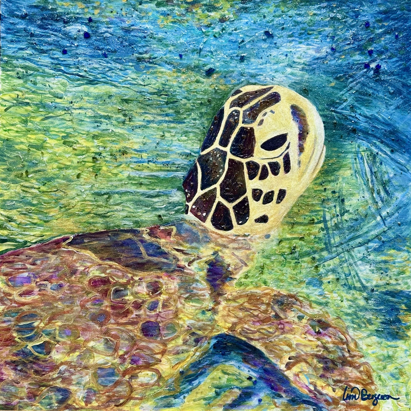 Kona Turtle