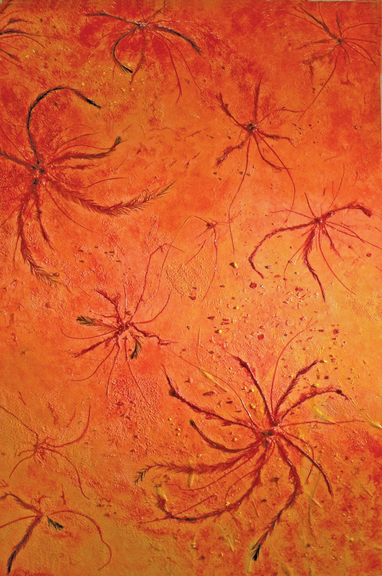 Crinoids