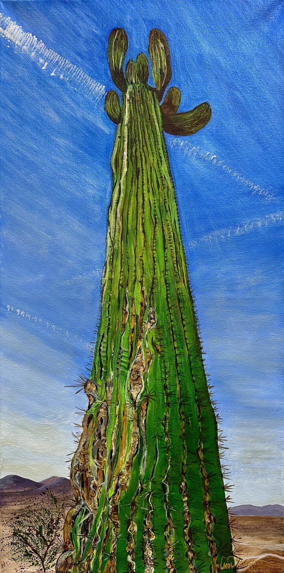 Lone Cactus